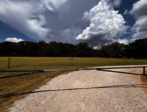 The Continental Divide:Why the healthcare system will always be divided